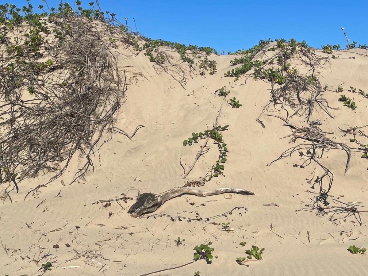 ポート・エドワードEden Wilds 72アパートメント エクステリア 写真